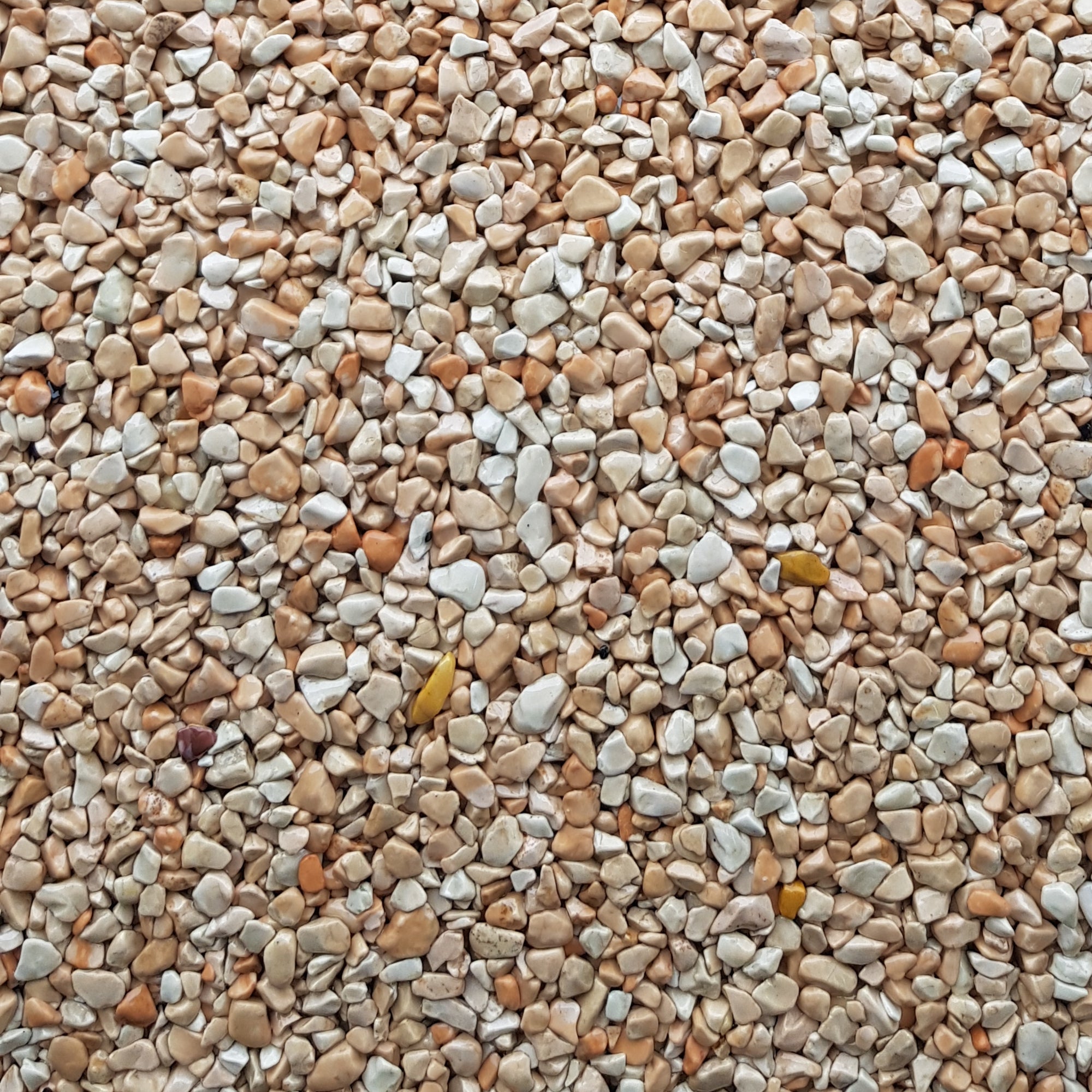 Steinteppich Set Vertikal | Wand, Treppe, Sockel & Stufe | W740 Natursteinteppich mit Grundierung & PU Bindemittel | Korngröße 1 - 4mm - WO - WE.SHOP