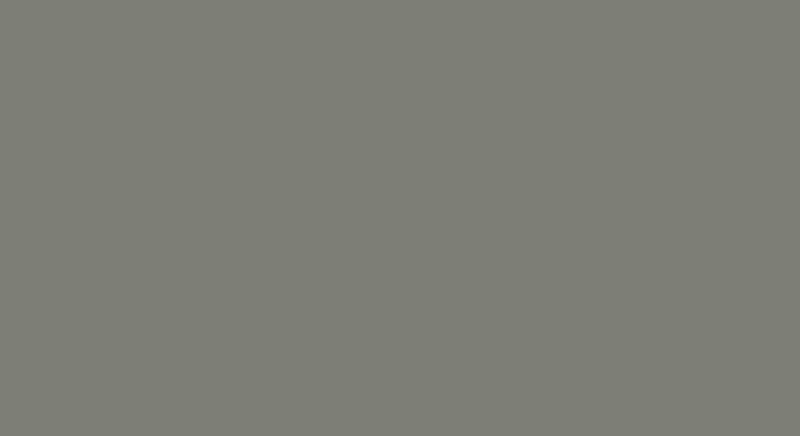 #Farbe_Betongrau RAL 7023
