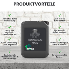 Primaire Apprêt de Silicate de Potassium A base d'eau, Haute adhérence W515 5-10L