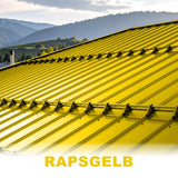 #Farbe_Rapsgelb