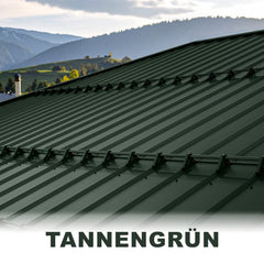 #Farbe_Tannengrün