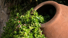 Imprégnation pierre naturelle, terre cuite Protection et Entretien W860 1-5L