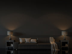 Backdrop interior wall paint - black matt - ceiling varnish dispersion SL700 5-20L